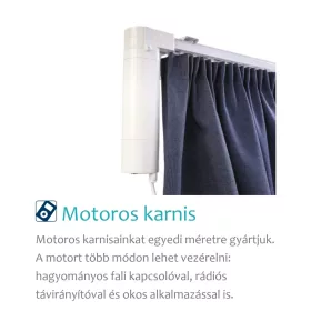 Motoros karnis