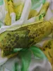 Hernyóselyem organza natural green orchidea